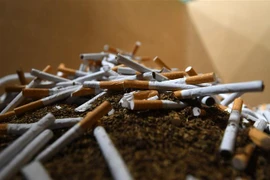 Ảnh minh họa. (Ảnh: AFP/TTXVN)