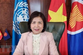 Đại sứ Lê Thị Tuyết Mai. (Ảnh: TTXVN phát)