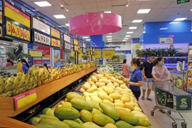 Quầy hàng nông sản trong nước được siêu thị Co.opmart Hà Đông (Hà Nội) có chương trình khuyến mại riêng. (Ảnh: Trần Việt/TTXVN)