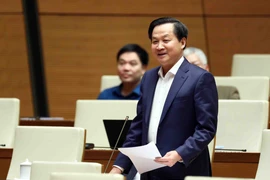 Phó Thủ tướng Lê Minh Khái tham gia trả lời chất vấn, giải trình về những vấn đề có liên quan. (Ảnh: Phạm Kiên/TTXVN)