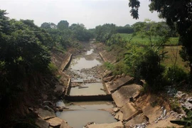 Một bờ kè đã bị sạt lở tại huyện Vĩnh Lộc, tỉnh Thanh Hóa nhưng chưa được sửa chữa. (Ảnh: Nguyễn Nam/TTXVN)