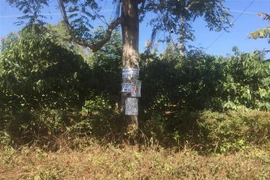 Biển rao vặt mời chào bán đất trên một tuyến đường ngoại ô thành phố Buôn Ma Thuột. (Ảnh: Hoài Thu/TTXVN)