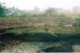 (Ảnh minh họa: TTXVN phát)