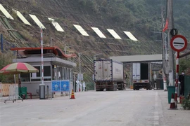 Hàng nông sản xuất khẩu qua đường chuyên dụng vận tải hàng hóa cửa khẩu Tân Thanh - Pò Chài. (Ảnh: Quang Duy/TTXVN)