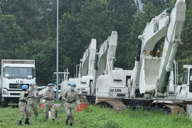 (Ảnh minh họa: Trọng Đức/TTXVN)