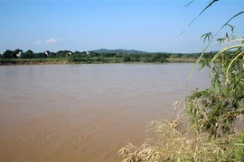 Nhiều diện tích đất bãi bồi ven bờ sông Mã đoạn qua xã Cẩm Vân, huyện Cẩm Thủy, tỉnh Thanh Hóa bị sạt lở. (Ảnh: Nguyễn Nam/TTXVN)