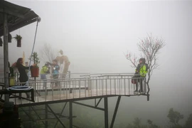 (Ảnh minh họa: Trần Lê Lâm/TTXVN)