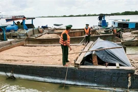 (Ảnh minh họa: TTXVN phát)