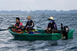 Ngư dân câu cá ngoài khơi vùng biển Mae Ram Phueng, Thái Lan. (Ảnh: AFP/TTXVN)