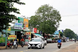 Quốc lộ 22B đoạn qua xã biên giới Tân Lập (huyện Tân Biên), xã đạt chuẩn nông thôn mới. (Ảnh: Hồng Đạt/TTXVN)