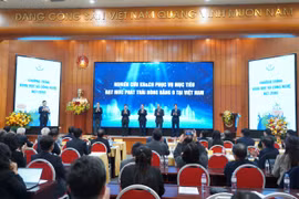 (Ảnh: PV/Vietnam+)