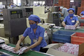 Ảnh minh họa. (Nguồn: TTXVN)