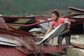 Người dân bãi ngang Quảng Đông (huyện Quảng Trạch) lợp lại mái nhà sau bão. (Ảnh: Đức Thọ/TTXVN)