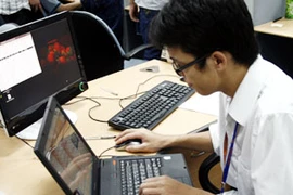 Ảnh chỉ có tính minh họa. (Ảnh: Trung Hiền/Vietnam+)