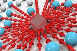 Ảnh chỉ có tính minh họa. (Nguồn: Ineternet)