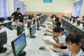 Ảnh chỉ có tính minh họa. (Nguồn: Mạnh Linh/TTXVN)