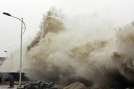 Ảnh chỉ có tính minh họa. (Nguồn: Internet)