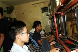 Ảnh chỉ có tính minh họa. (Ảnh: Trung Hiền/Vietnam+)