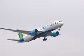 Máy bay của hãng hàng không Bamboo Airways. (Ảnh: CTV/Vietnam+)