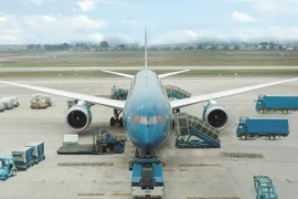 Máy bay của hãng hàng không Vietnam Airlines. (Ảnh: CTV/Vietnam+)