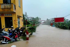 Đường ray đoạn qua một số tỉnh miền Trung bị ngập nước do mưa lũ lớn nên không thể tổ chức chạy tàu. (Ảnh: Facebook Câu lạc bộ đam mê Đường sắt)