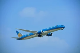 Máy bay của hãng hàng không Vietnam Airlines. (Ảnh: Hoàng Anh/Vietnam+)