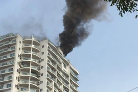 (Ảnh: PV/Vietnam+)