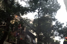 Ngọn lửa bốc lên từ một chuồng cọp cơi nới