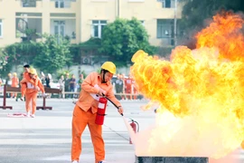 (Ảnh: Doãn Đức/Vietnam+)