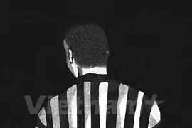 Ảnh minh họa (Võ Phương/Vietnam+) 