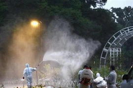 Nhật Bản: Xuất hiện bệnh sốt xuất huyết ở thủ đô Tokyo