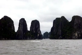 Quảng Ninh: Tàu chở khách du lịch nước ngoài bị lốc nhấn chìm