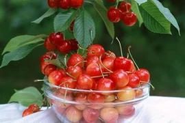 Ăn quả xơri giúp ngăn ngừa bệnh tim mạch