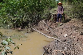 Nước tràn qua gây ngập ruộng rẫy tại Sóc Trăng. (Ảnh: Trung Hiếu/TTXVN)