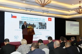 Diễn đàn Doanh nghiệp Cộng hòa Séc-Việt Nam tại TP. Hồ Chí Minh. (Ảnh: Thanh Vũ/TTXVN)