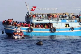Lực lượng bảo vệ bờ biển Italy cứu vớt những người di cư trên biển Địa Trung Hải ngày 23/8. (Nguồn: AFP/TTXVN)