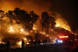 Lực lượng cứu hỏa nỗ lực khống chế các đám cháy rừng ở Valley Fire, California ngày 13/9. (Nguồn: AFP/TTXVN)