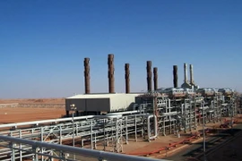 Cơ sở khí đốt của BP ở In Amenas thuộc sa mạc Sahara. (Nguồn: AFP/TTXVN)