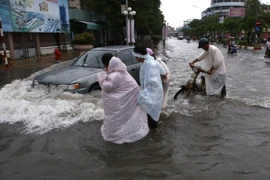 (Ảnh minh họa: Duy Khương/TTXVN)