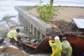 (Ảnh minh họa: TTXVN phát)