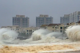 Ảnh minh họa. (Nguồn: Reuters/TTXVN)