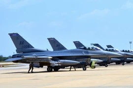 Máy bay F-16 được triển khai tới căn cứ không quân Incirlik, Thổ Nhĩ Kỳ ngày 9/8. (Nguồn: AFP/TTXVN)