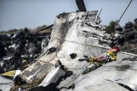 Xác máy bay MH17 gần làng Grabove, vùng Donetsk, miền Đông Ukraine ngày 26/7/2014. (Nguồn: AFP/TTXVN)