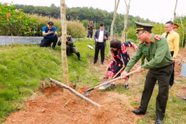 Tết trồng cây nhớ ơn Bác tại đền Chung Sơn: Gieo mầm xanh, gặt hy vọng