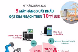 [Infographics] 5 mặt hàng đạt kim ngạch xuất khẩu trên 10 tỷ USD