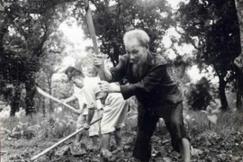 Bác Hồ cuốc đất, trồng rau trong vườn Phủ Chủ tịch (năm 1957). (Ảnh: TTXVN) 