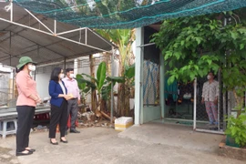 Phó Chủ tịch Ủy ban Nhân dân tỉnh Vĩnh Long Nguyễn Thị Quyên Thanh (ngoài cùng bên trái) kiểm tra công tác điều trị bệnh nhân COVID-19 tại nhà ở huyện Bình Tân, tỉnh Vĩnh Long. (Ảnh: Lê Thúy Hằng/TTXVN) 