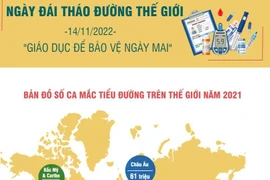 Ngày đái tháo đường thế giới 14/11: Giáo dục để bảo vệ ngày mai