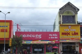 Thửa đất của nhà nước cho ông Lâm mượn, sau đó ông này cho hãng Concung.com thuê. (Ảnh: Cao Nguyên/TTXVN)