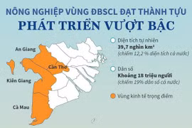 Nông nghiệp vùng Đồng bằng sông Cửu Long phát triển vượt bậc